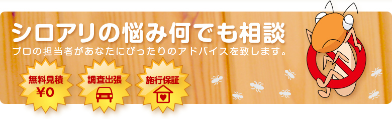 シロアリの悩み何でも相談　プロの担当者があなたにぴったりのアドバイスを致します。無料見積・調査出張・施工保証